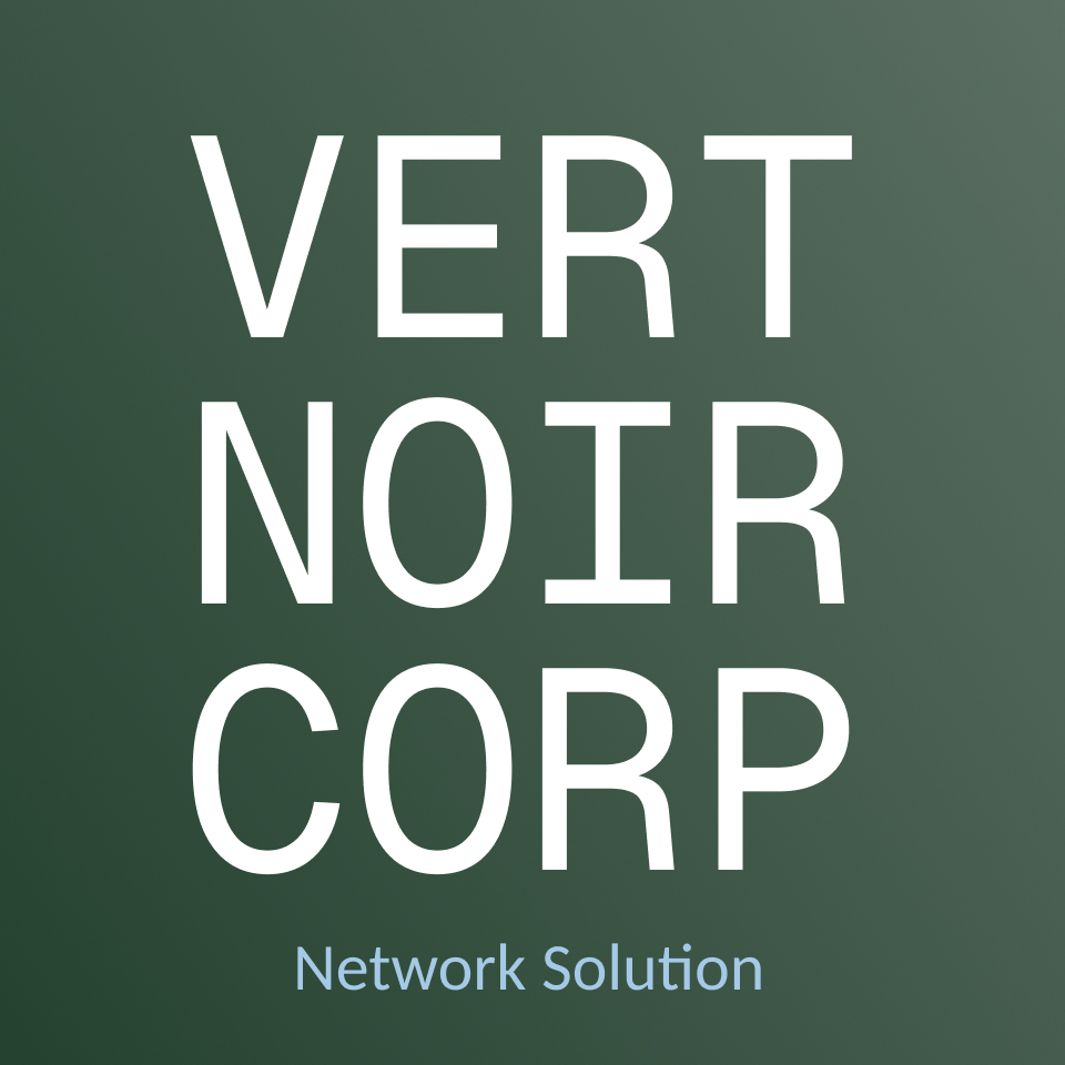 VERT NOIR CORP